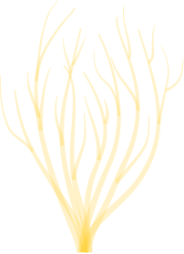 swiming-vector5